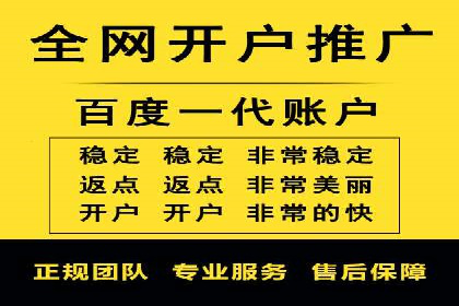 百度竞价广告与自然搜索排名的结合策略案例